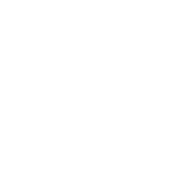 Skej