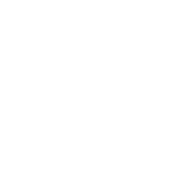 Skej